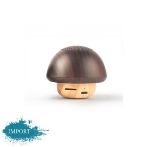 Speaker Bluetooth bois