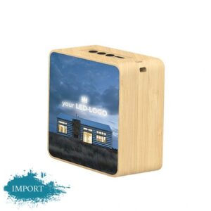 Enceinte