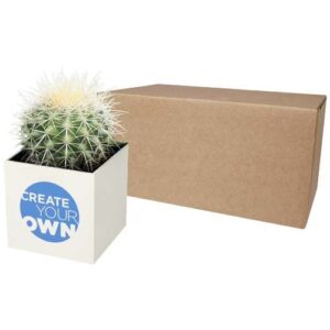 Pot en aluminium avec cactus Hey Pots