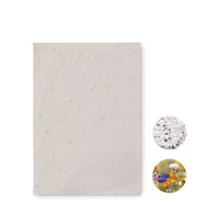 ASIDO Papier A6 graines de fleurs
