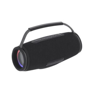 Haut-Parleur Digby