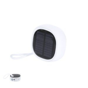 Haut-Parleur Kompec RCS
