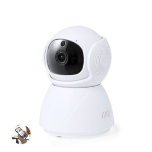 Vidéosurveillance Intelligente Deors