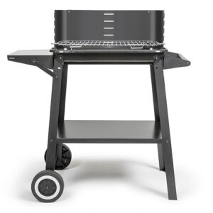 Barbecue à charbon