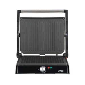 Grill viande et panini
