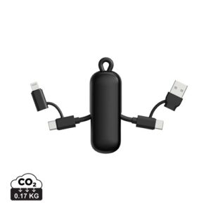 Câble 100W porte-clés 4-en-1 Urban Vitamin Dublin